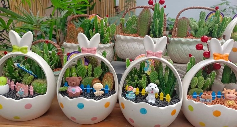 77+ Hình ảnh trang trí chậu cảnh được nhiều người yêu thích - Hình ảnh bài viết