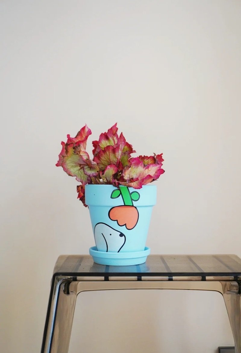 trang trí chậu cảnh 4