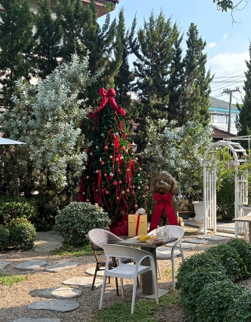 trang trí noel quán cafe 33