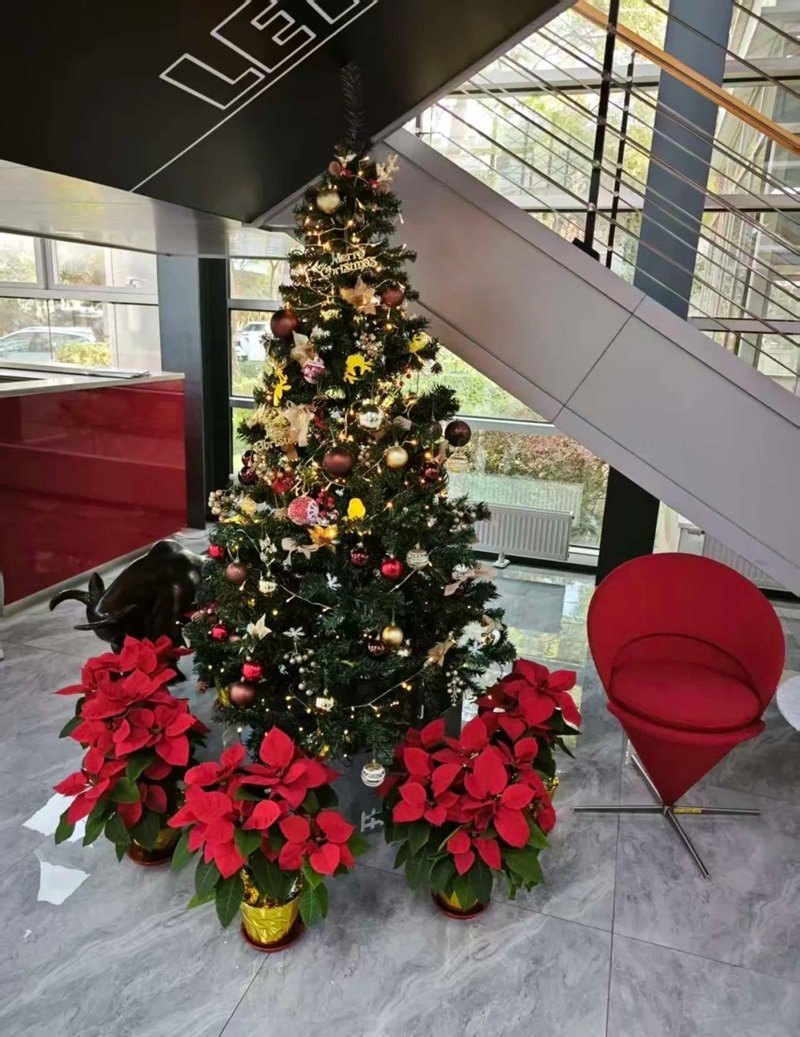 trang trí noel văn phòng 39