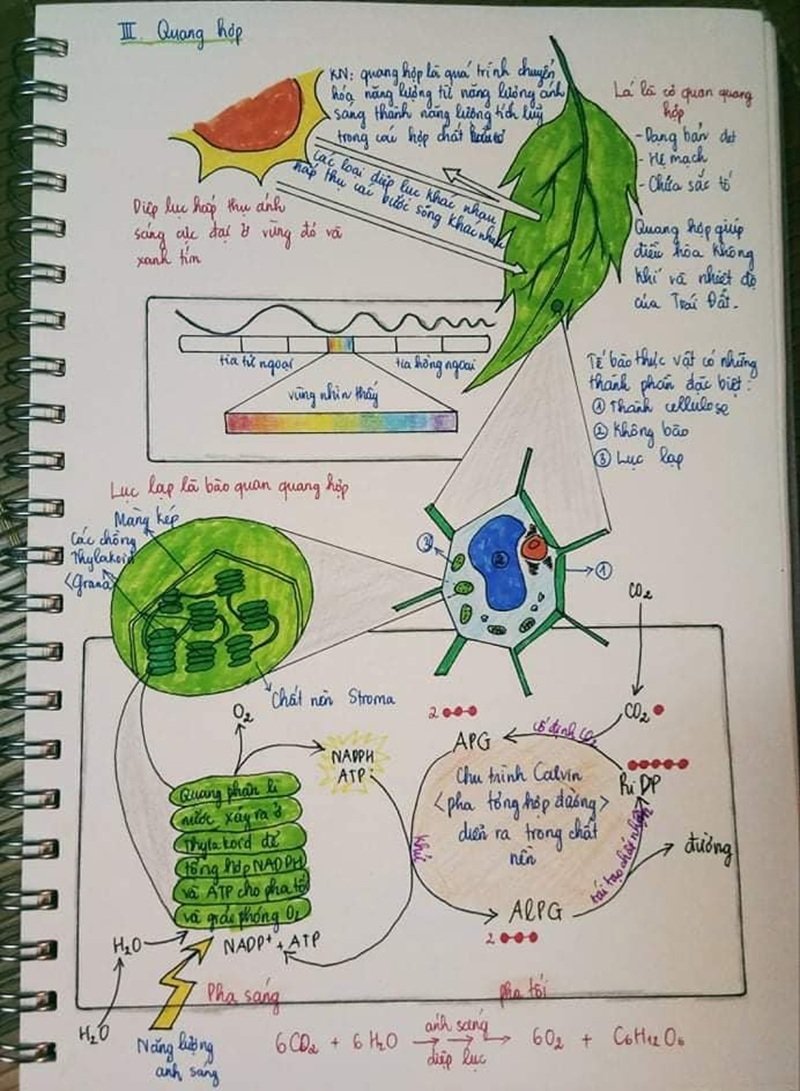 trang trí sơ đồ tư duy đẹp 1