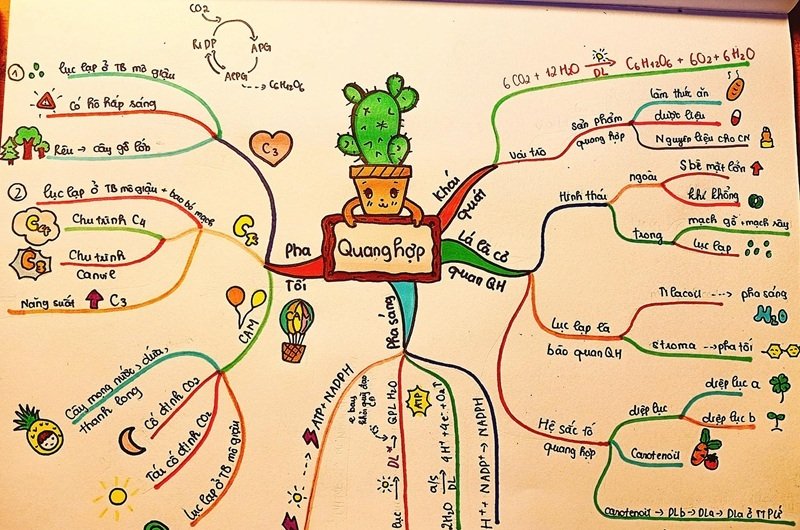 trang trí sơ đồ tư duy đẹp 2