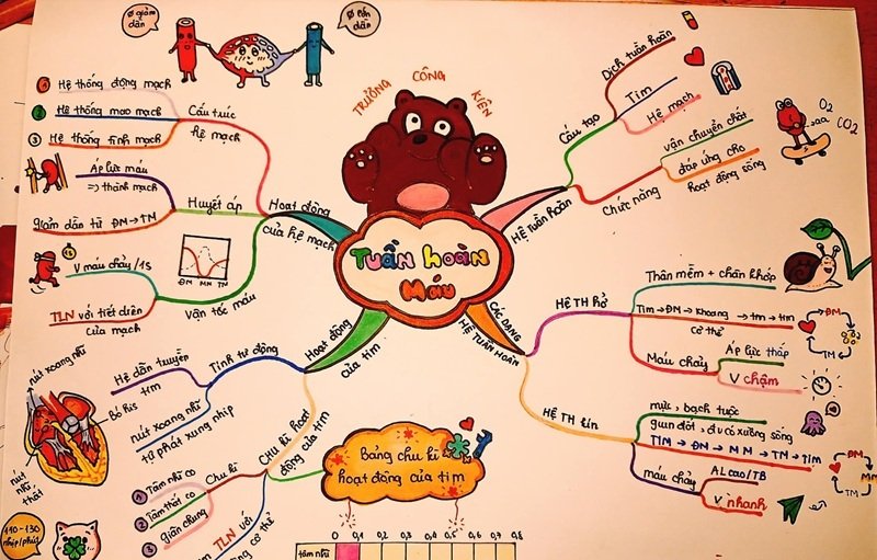 trang trí sơ đồ tư duy đẹp 3