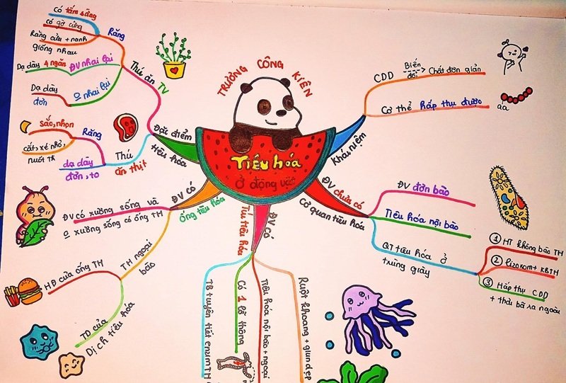 trang trí sơ đồ tư duy đẹp 4