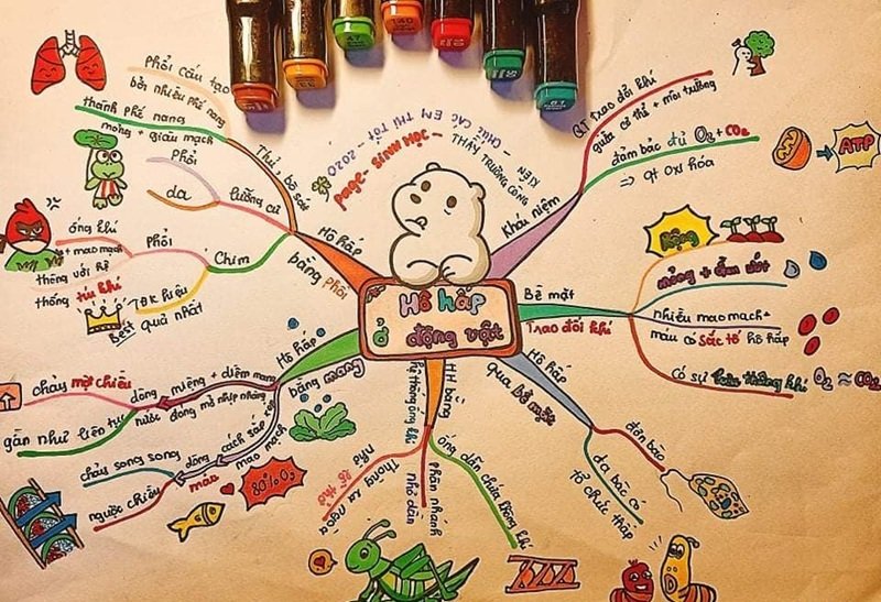 trang trí sơ đồ tư duy đẹp 5