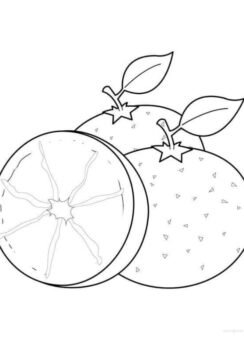 Sưu tầm 88+ tranh tô màu quả cam cho bé tập tô