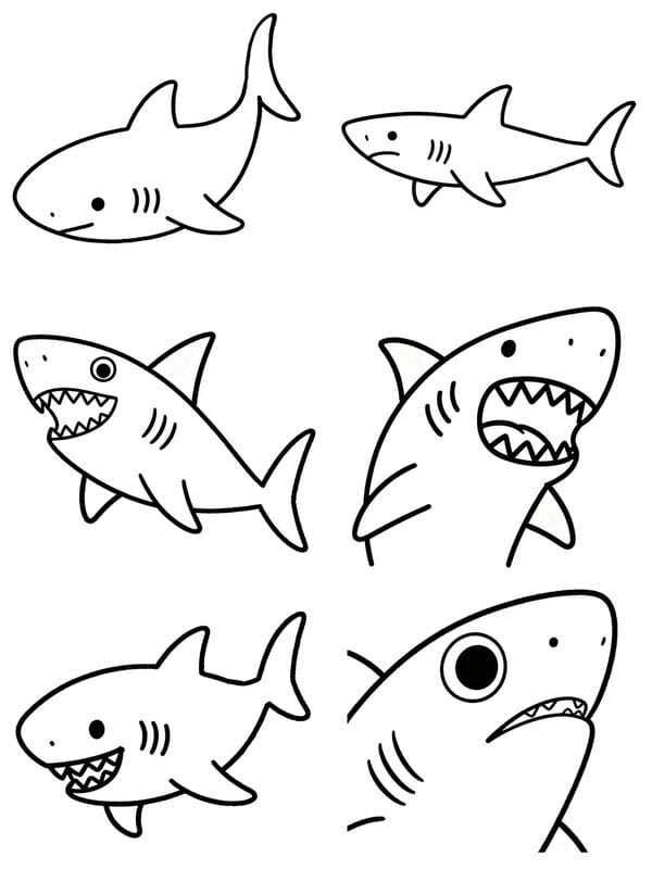 hình tô màu cá mập