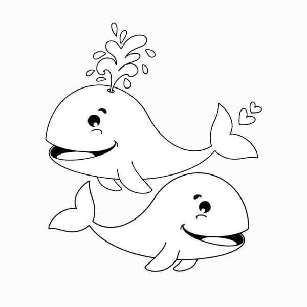tô màu cá heo 21