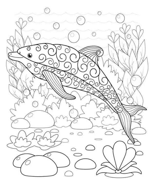 tô màu cá heo 6