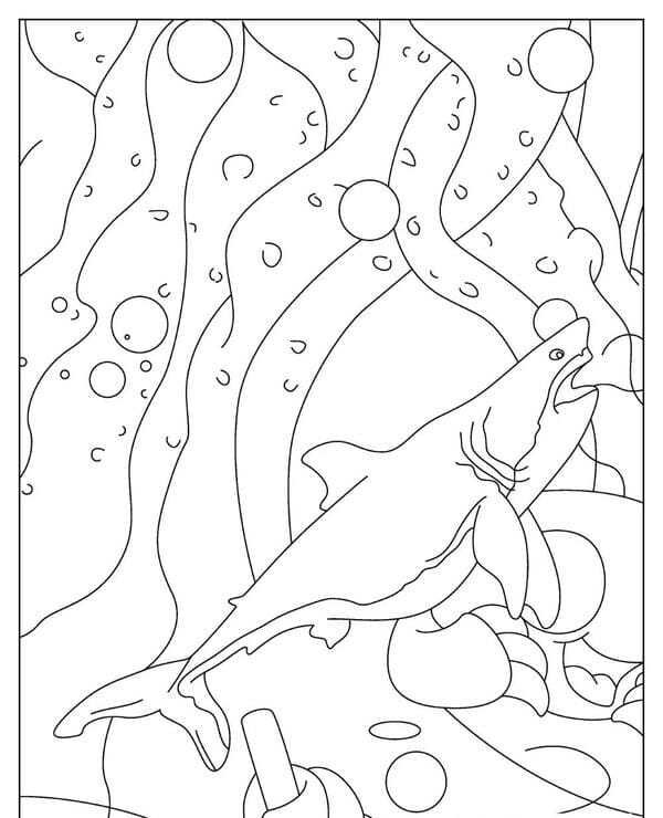 tô màu cá mập 10