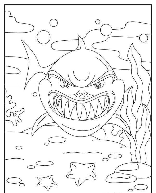 tô màu cá mập 2