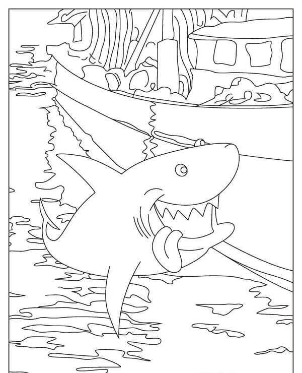 tô màu cá mập 3