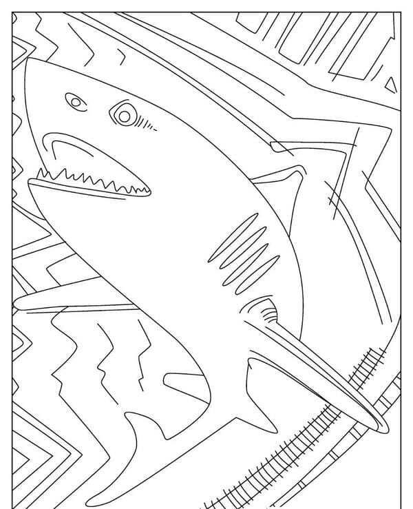 tô màu cá mập 4