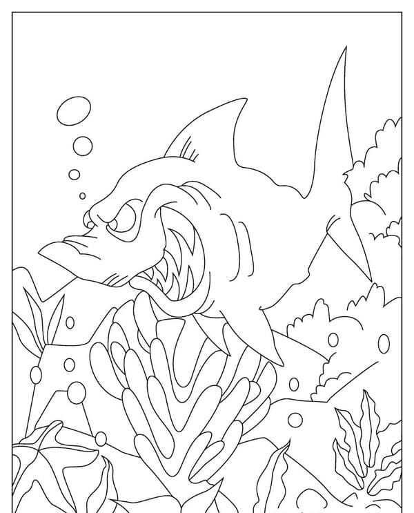 tô màu cá mập 5