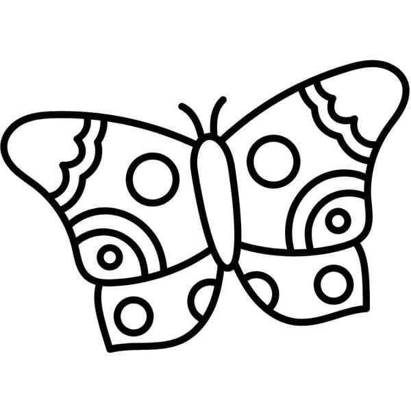tô màu con bướm 1