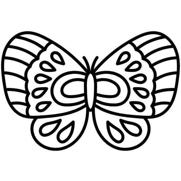 tô màu con bướm 13