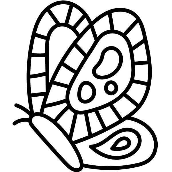 tô màu con bướm 2