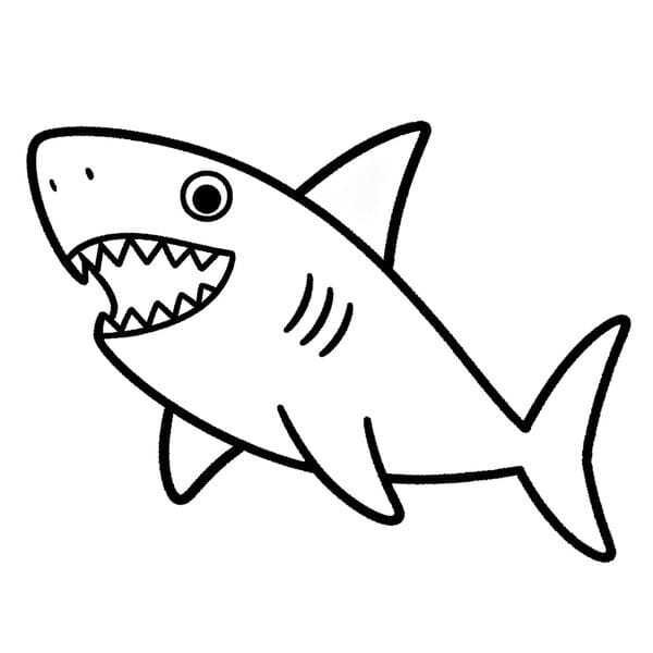 tô màu con cá mập