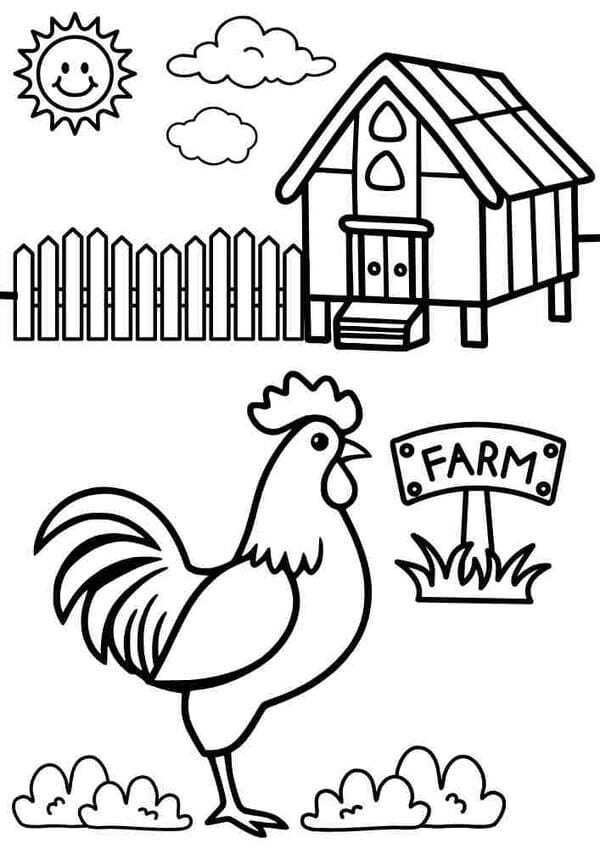 tô màu con gà trống 19