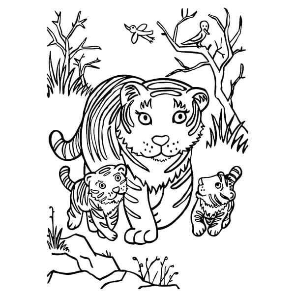 tô màu con hổ 15