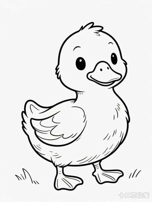tô màu con vịt 13