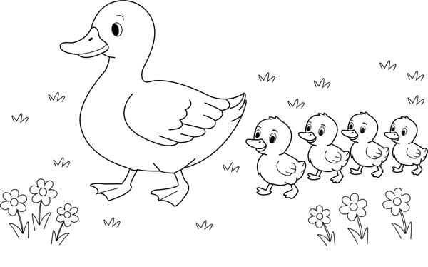 tô màu con vịt 3