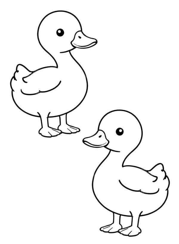 tô màu con vịt 9