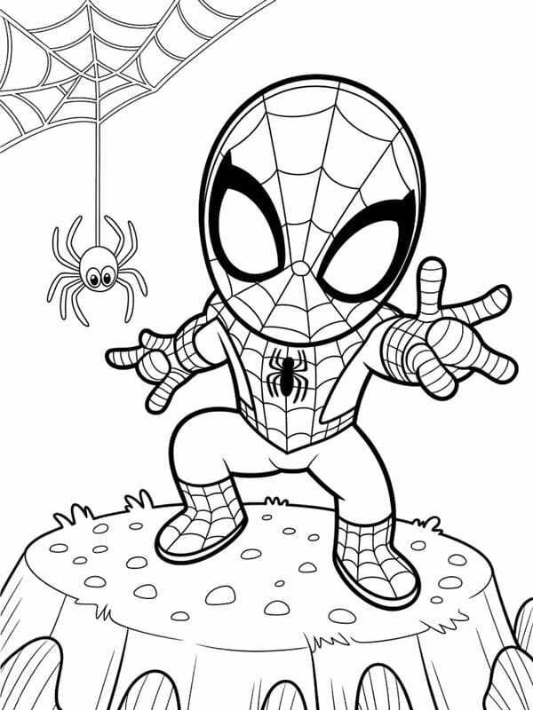 tô màu người nhện 10