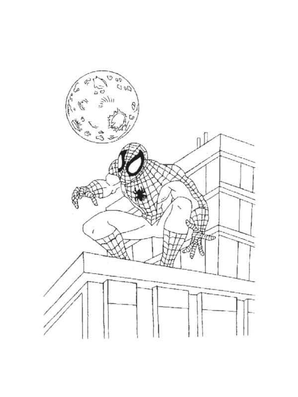 tô màu người nhện 2