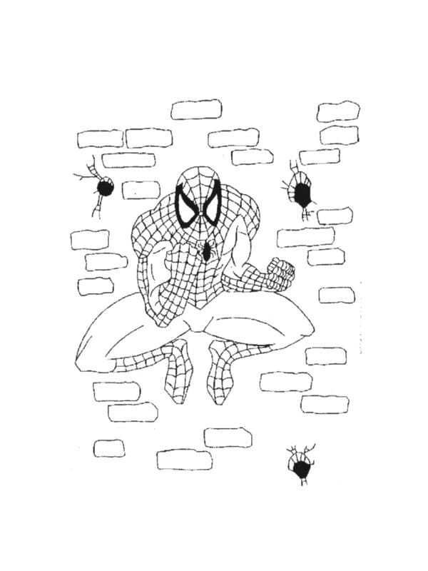 tô màu người nhện 3