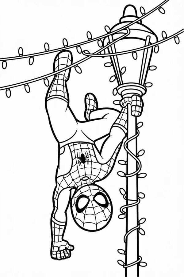tô màu người nhện 6