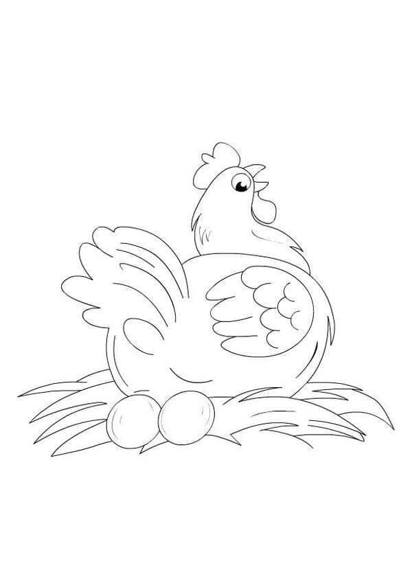 tranh tô màu con gà mái 17