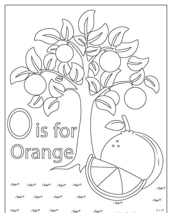 tranh tô màu quả cam 12