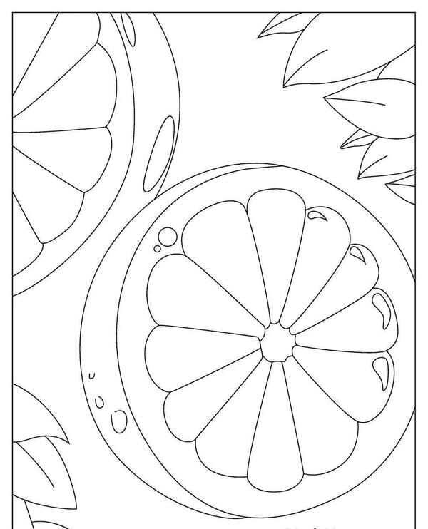 tranh tô màu quả cam 13