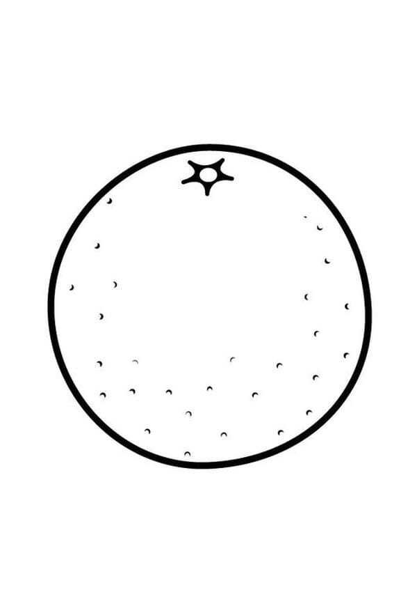 tranh tô màu quả cam 15