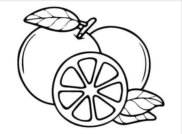 tranh tô màu quả cam 19