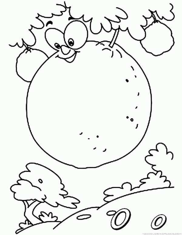 tranh tô màu quả cam 22