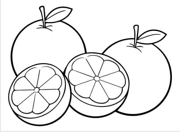 tranh tô màu quả cam 23