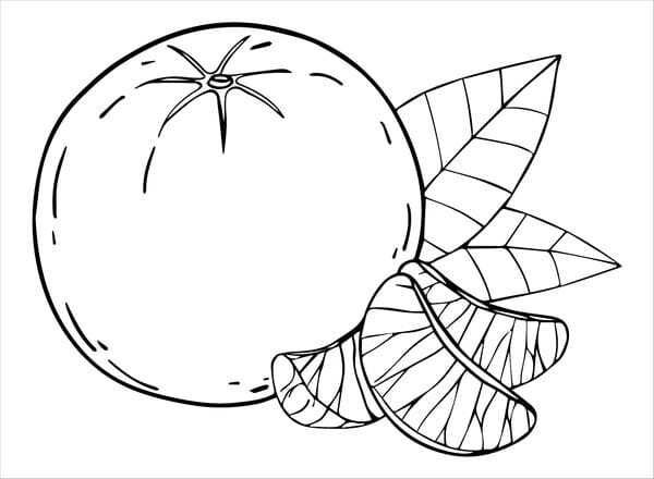 tranh tô màu quả cam 24