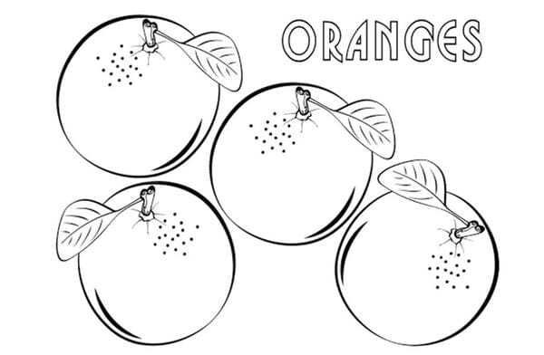 tranh tô màu quả cam 26