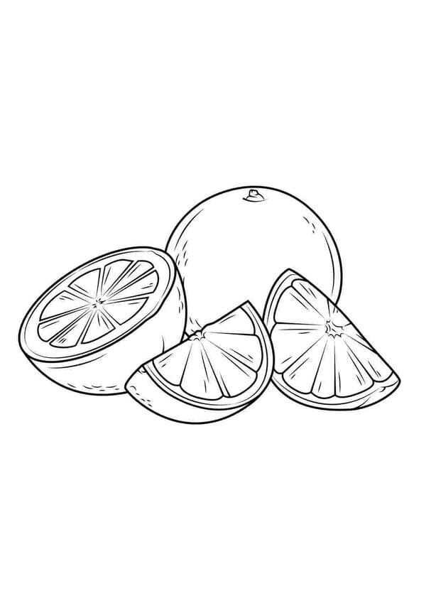 tranh tô màu quả cam cho bé