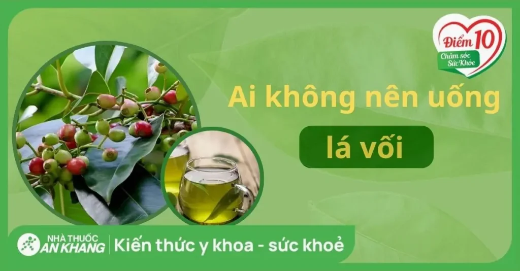 Ai Không Nên Uống Lá Vối? Lưu Ý Quan Trọng Cần Biết 2026 - Hình ảnh bài viết