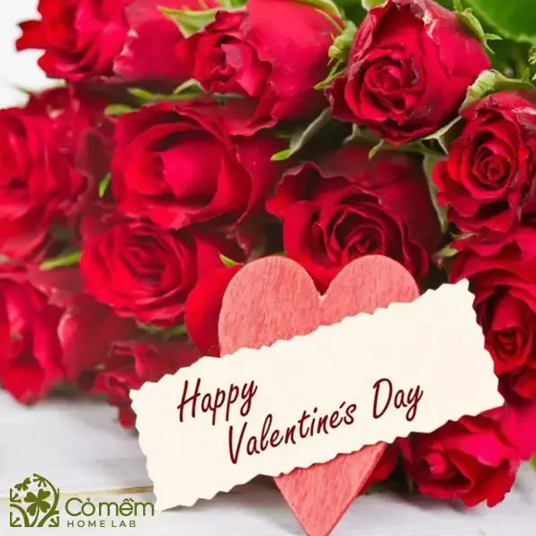 Bữa tối lãng mạn cho ngày Valentine