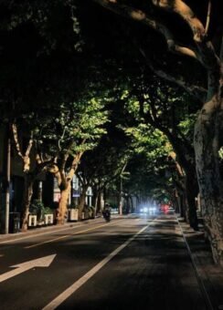 Chiêm ngưỡng 89+ hình ảnh chill đường phố về đêm đẹp