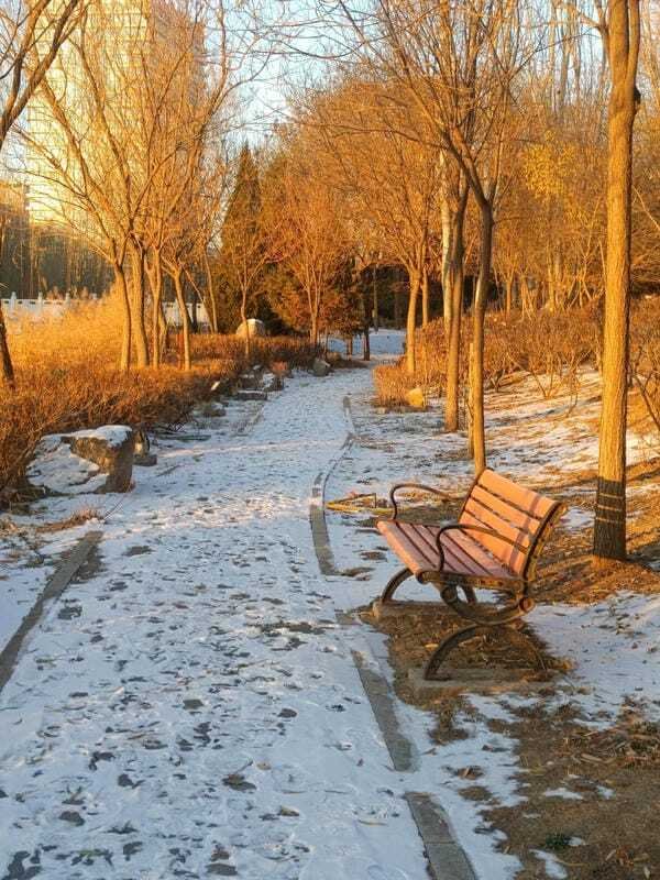 hình ảnh chill đường phố 32