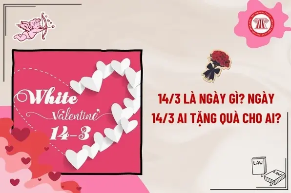 Hình ảnh minh họa ngày 14/3