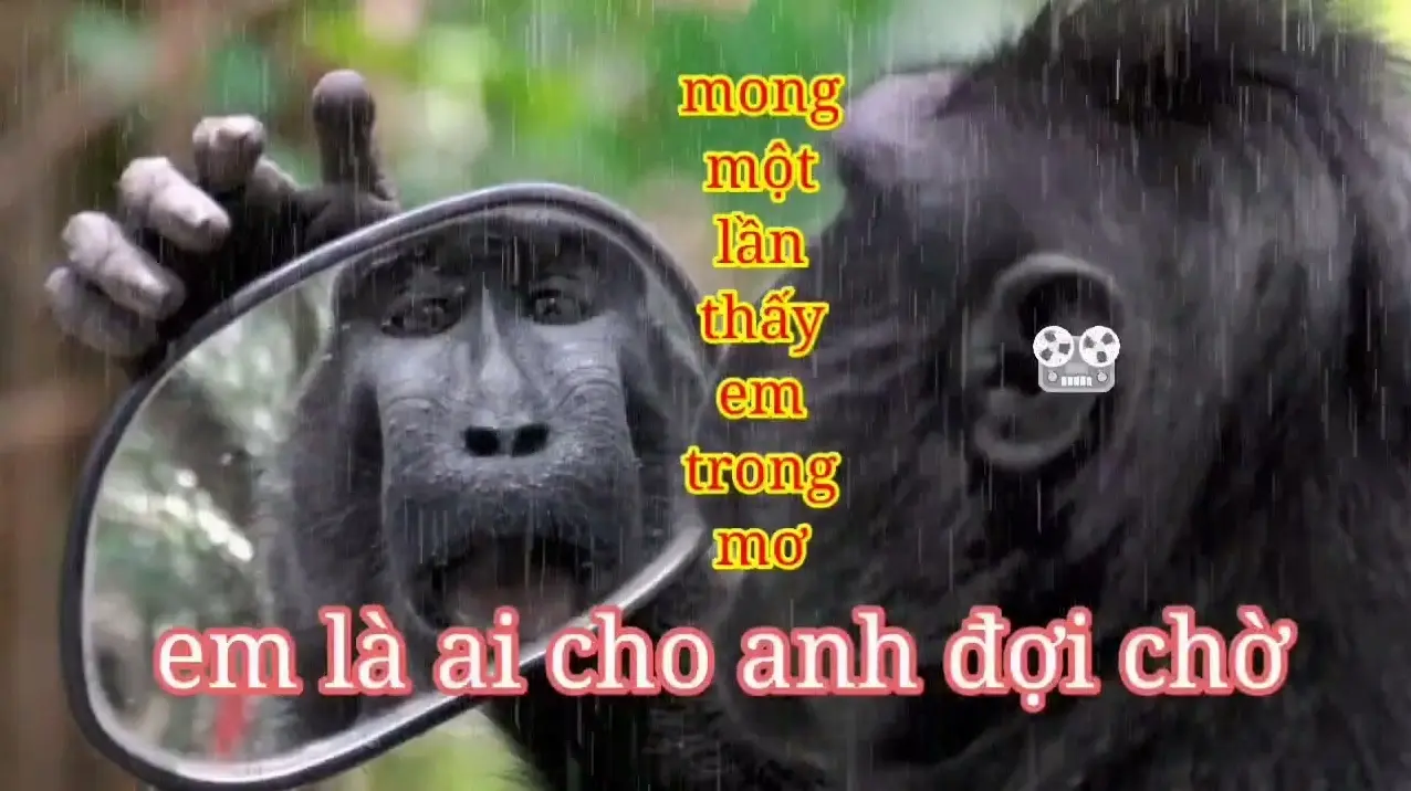Hình ảnh đôi tình nhân nắm tay nhau