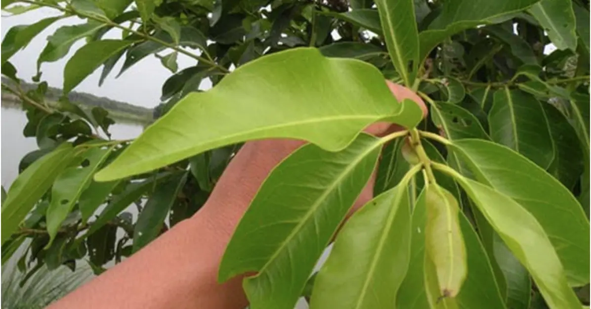 Người đang bị tiêu chảy