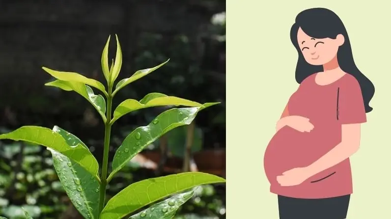 Người có huyết áp thấp