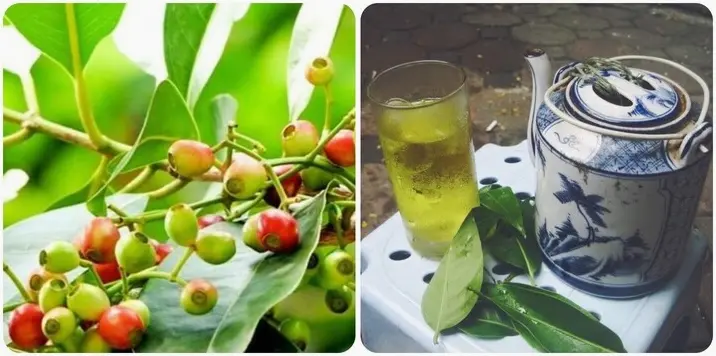 Phụ nữ mang thai